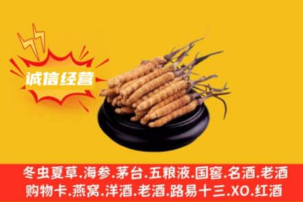 遵义市回收冬虫夏草